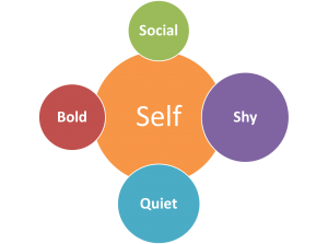 You are more than your shyness. You can be shy and bold, shy and social.